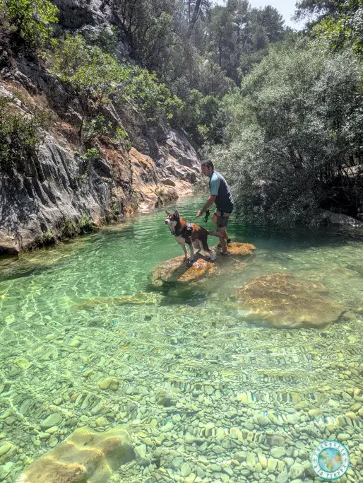 ruta-agua-puente-de-las-herrerias-con-perro