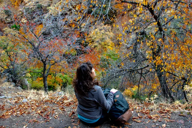 bosque-encantado-lugros-dehesa-del-camarate