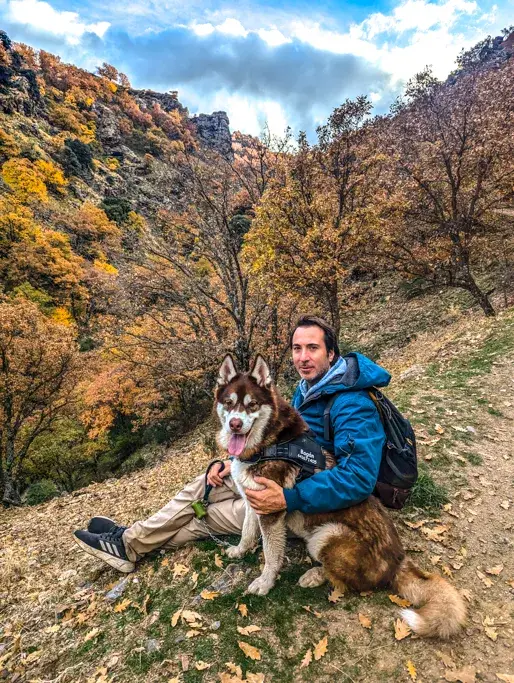 dehesa-del-camarate-con-perro