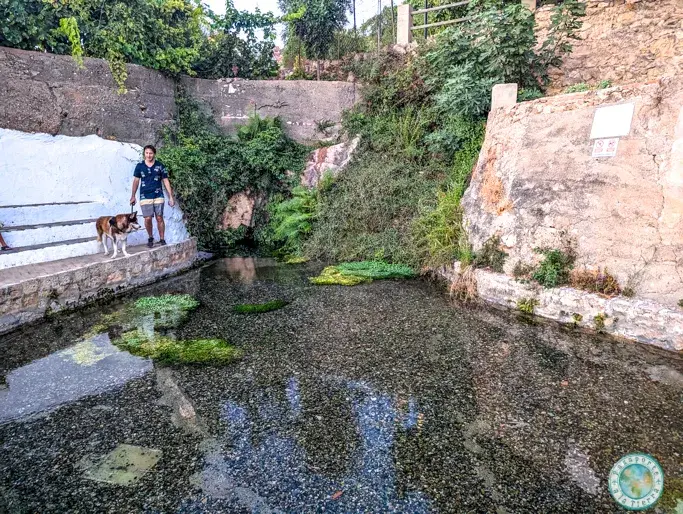 manantial-nacimiento