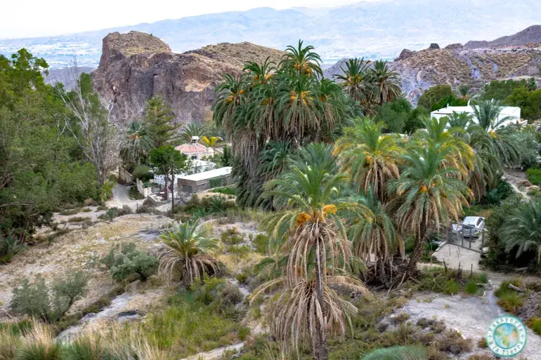 oasis-palmeral-baños-sierra-alhamilla