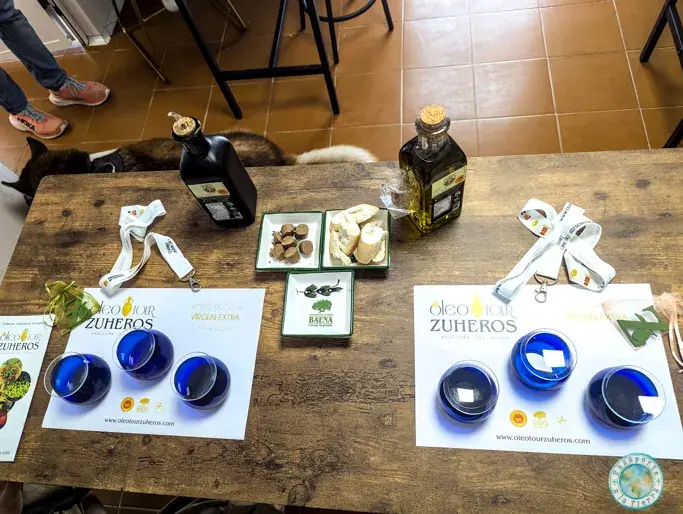 cata-aceite-zuheros