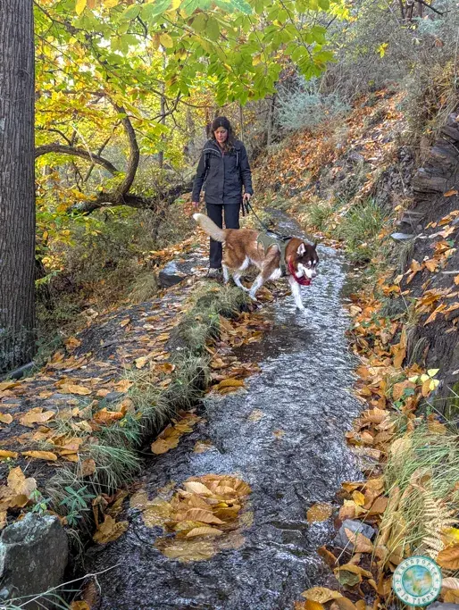 acequia-real-paterna-del-rio