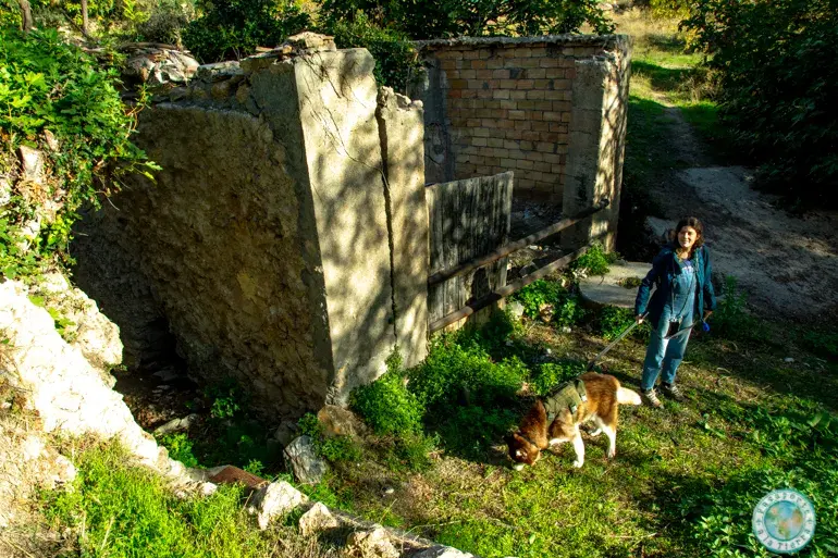 nacimiento-y-viejo-molino