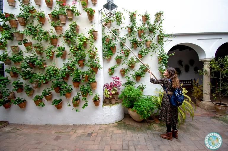 mejores-tours-que-hacer-en-cordoba