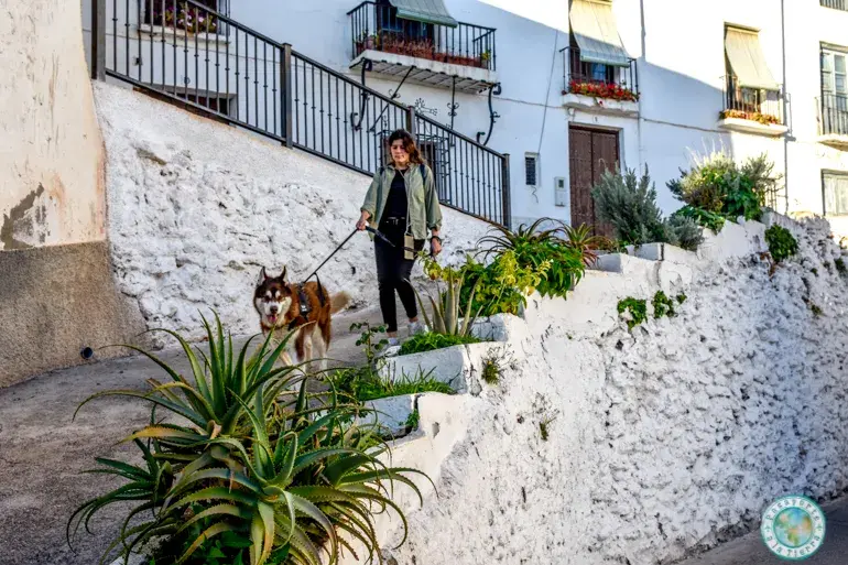 que-ver-en-valor-alpujarra-granadina