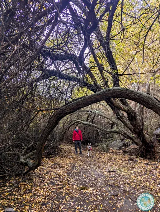 ruta-del-agua-y-castañar-de-paterna-del-rio-otoño-almeria