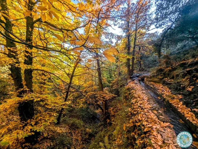 ruta-del-agua-y-castañar-de-paterna-del-rio