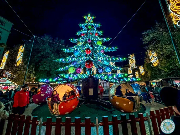 abeto-giratorio-bib-rambla