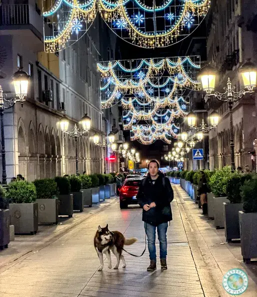 luces-centro-granada-en-navidad