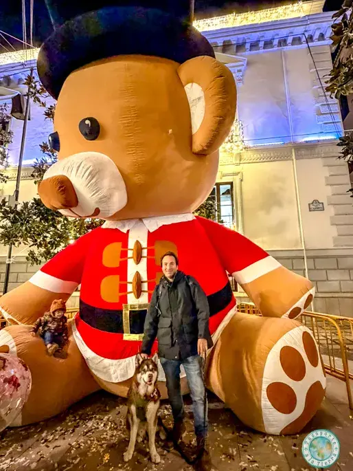 oso-gigante-navidad-en-granada