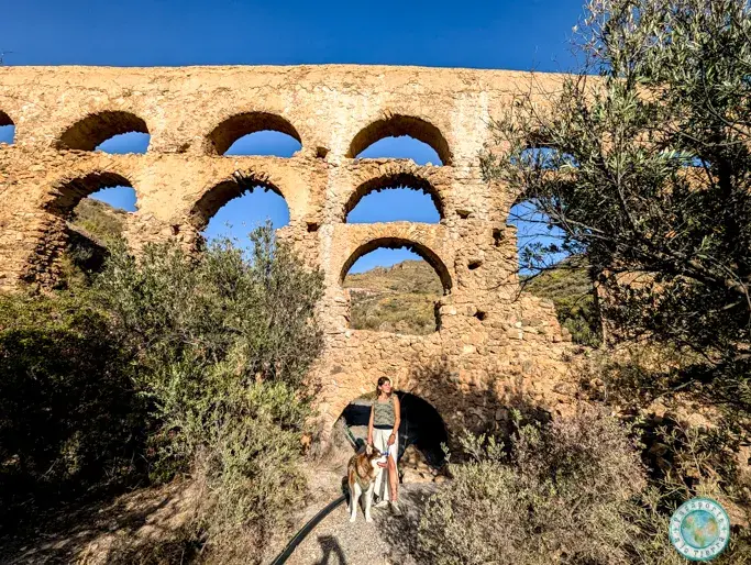 acueducto-20-ojos-vicar