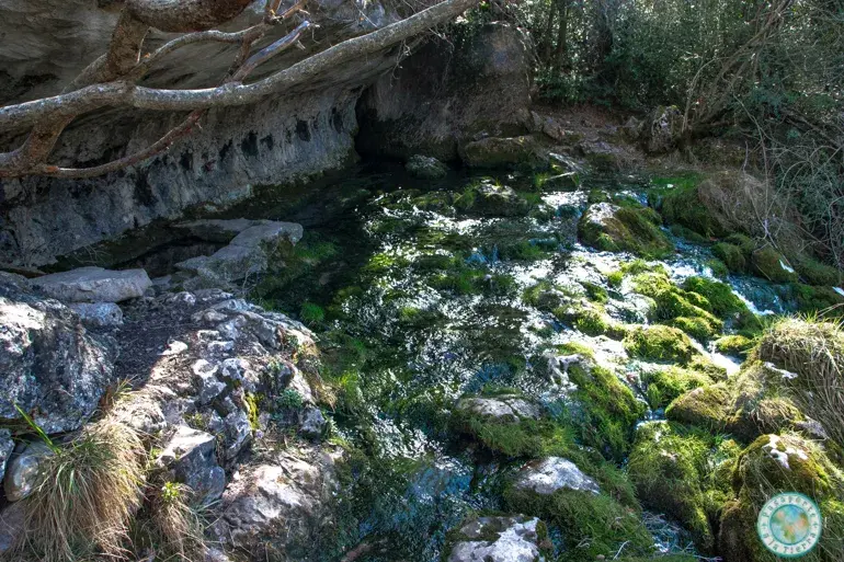 manantial-brote-nacimiento-del-rio-cuervo