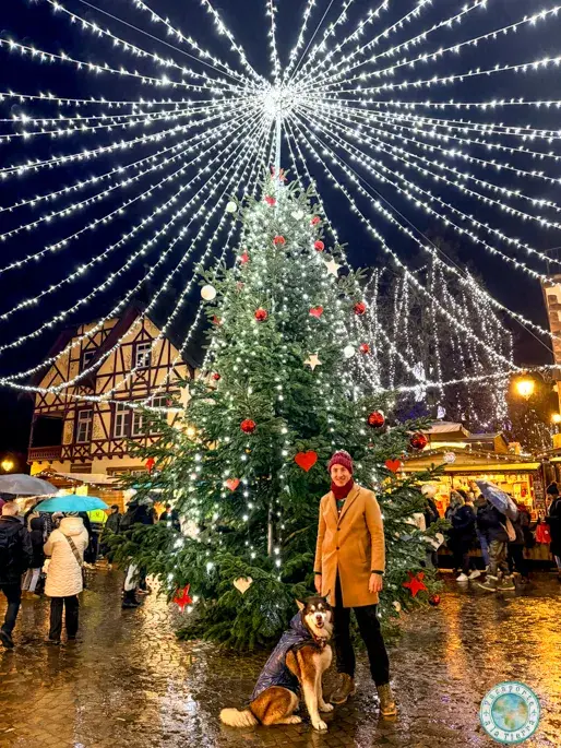 mercado-navideño-que-ver-en-riquewihr