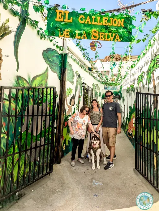 murales-street-art-que-ver-en-vícar