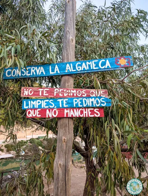 normas-la-algameca-chica