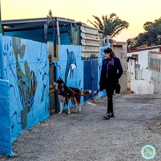 street-art-murales-la-algameca-chica