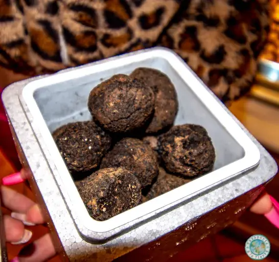 trufas-negras-teruel
