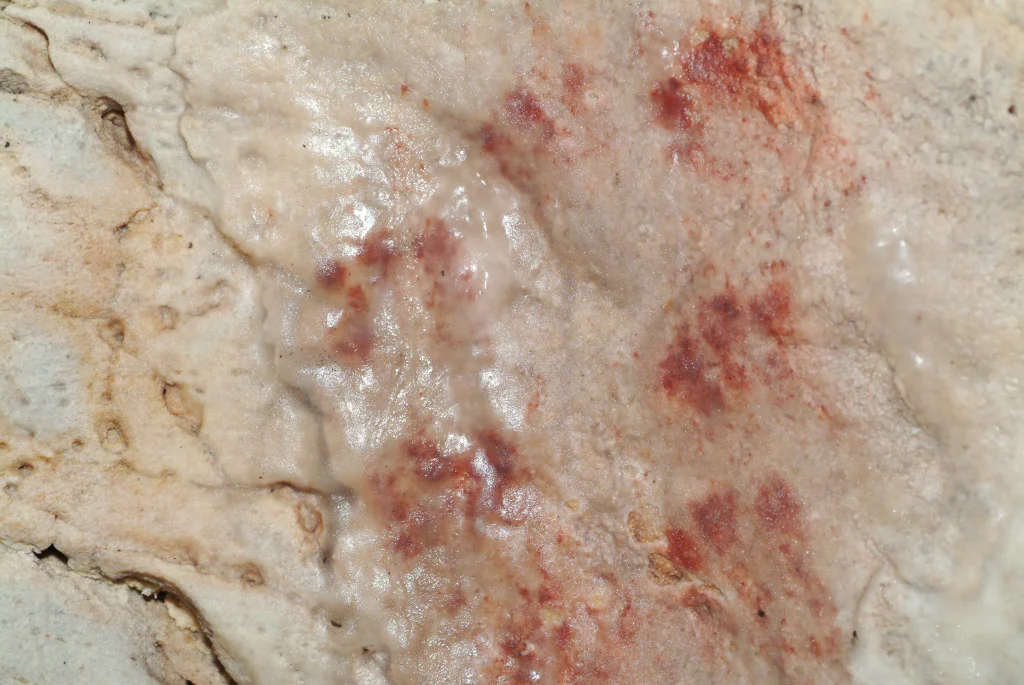 pinturas-rupestres-cueva-de-ardales