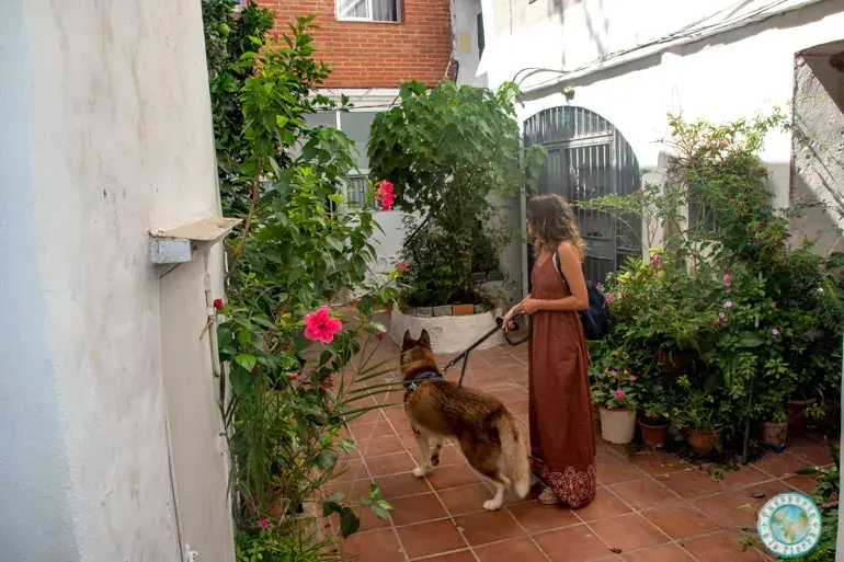patios-de-tarifa