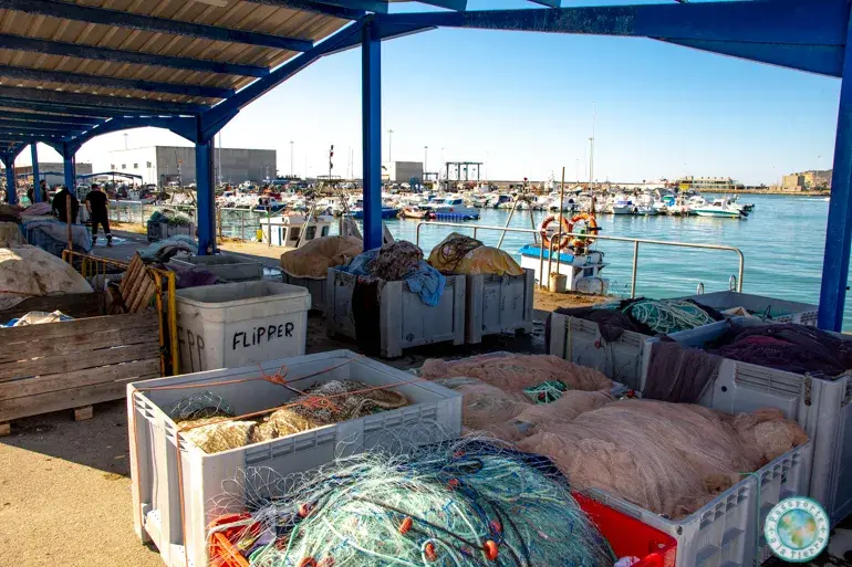 puerto-pesquero-que-ver-en-barbate
