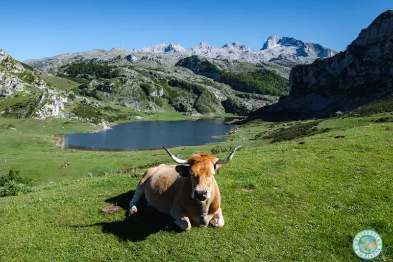 ruta-por-asturias-en-coche-en-7-dias