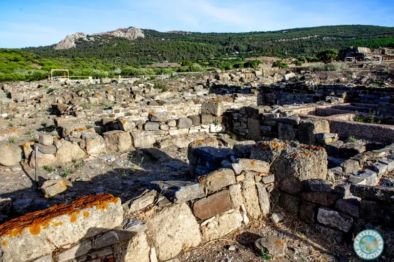 tienda-del-garum
