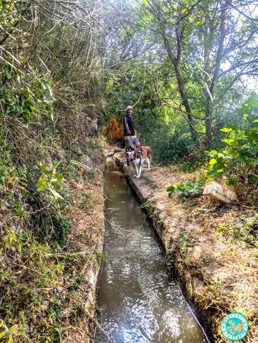 acequia-de-la-madre-maestra