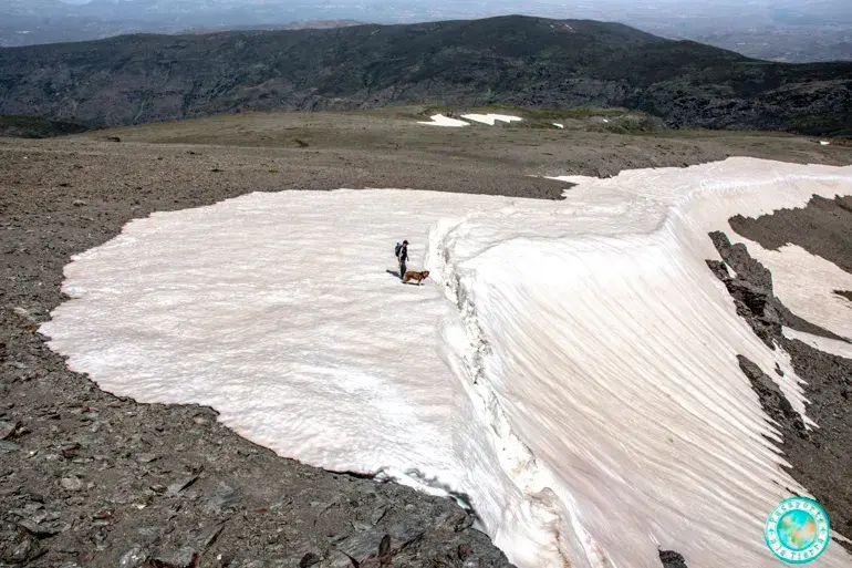 lenguas-de-hielo