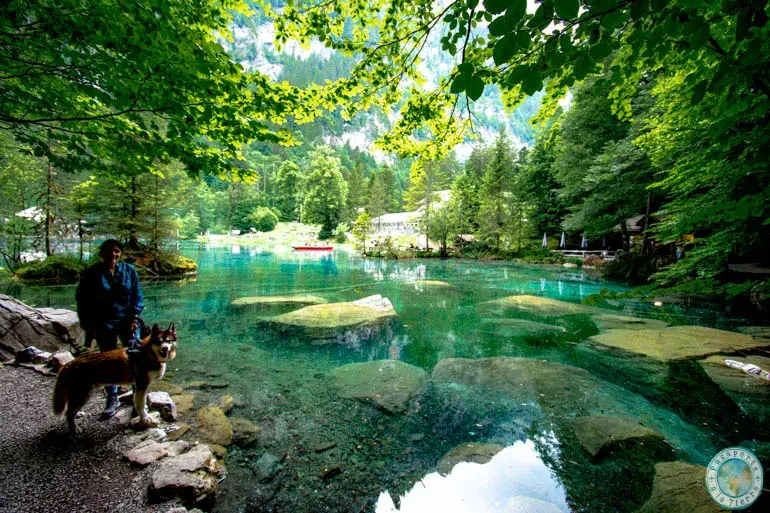 lago-blausee-oberland-bernes