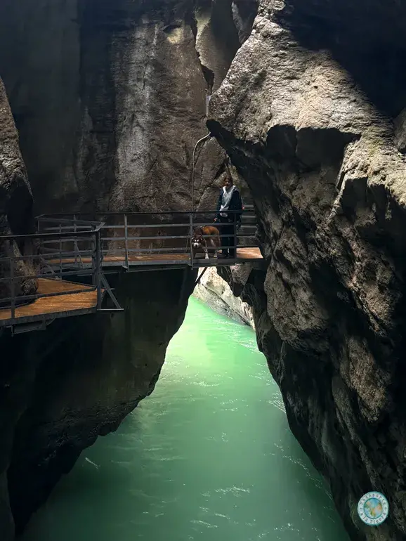 aareschlucht-cañon-suiza