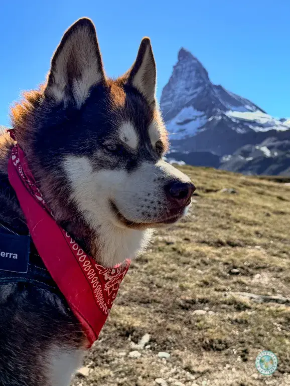 bagan-toblerone-monte-cervino