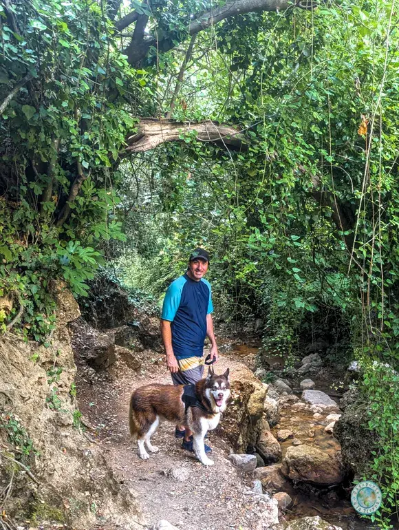 chorreras-de-valdepeñas-de-jaén-con-perro