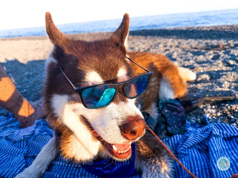 diversion-playa-canina-torre-del-mar