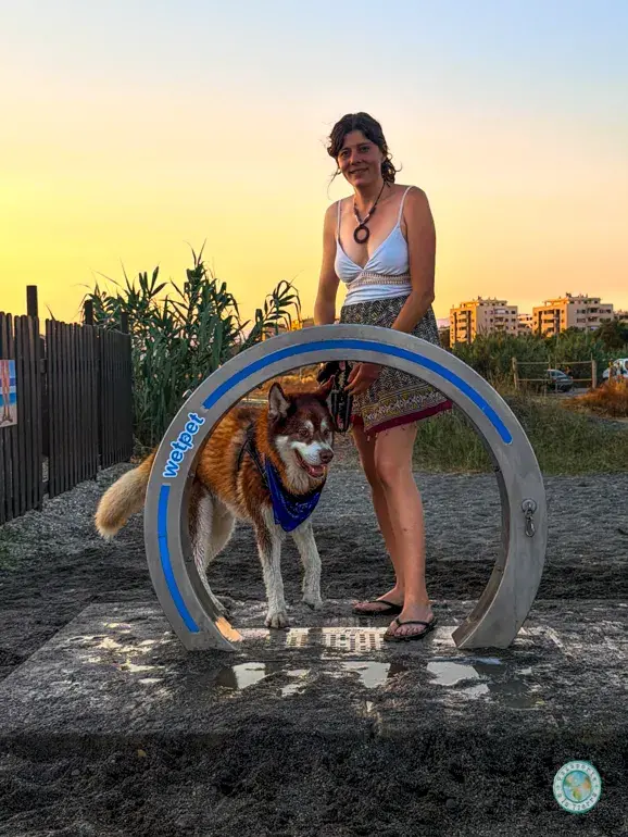 ducha-de-arco-perros-en-playa-canina