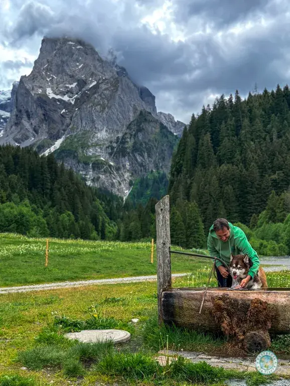 fuente-abrevadero-suiza