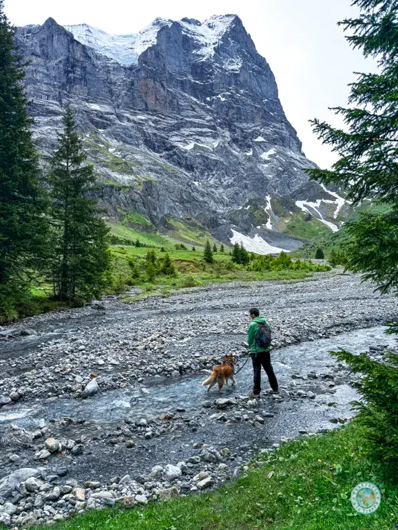 grosse-scheidegg-suiza