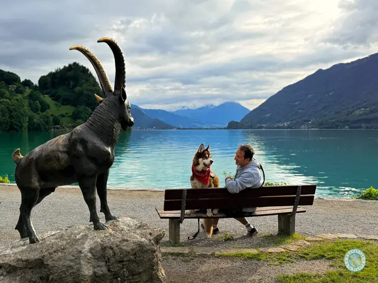 iseltwald-que-ver-en-suiza