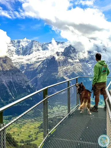 plataforma-suspendida-que-ver-en-grindelwald-first