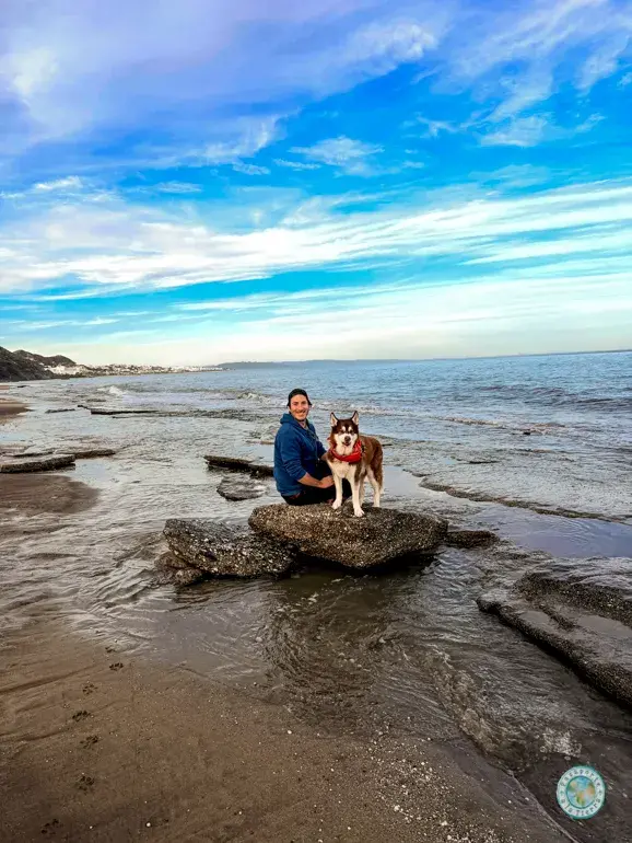 playa-perros-perulejo-en-mojacar