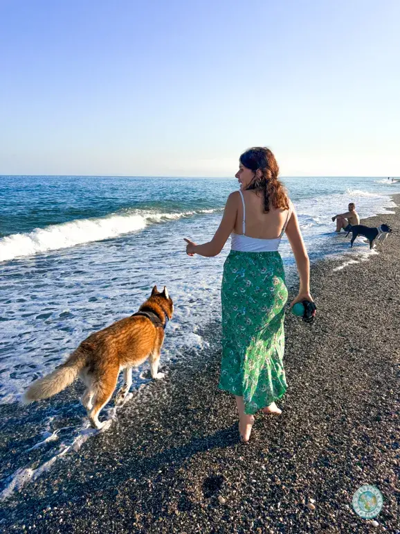 playa-perros-torre-del-mar