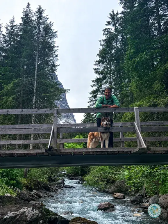 puente-ruta-a-grosse-scheidegg