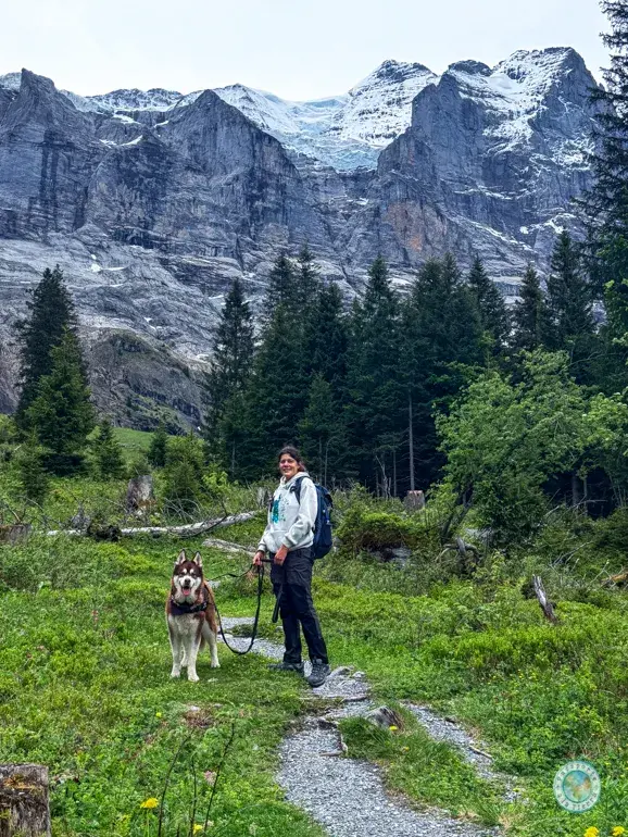 ruta-senderismo-grosse-scheidegg