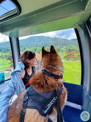 subir-a-grindelwald-first-en-teleférico