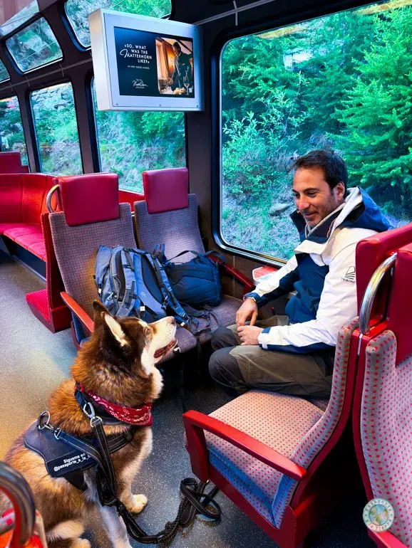 tren-tasch-a-zermat-con-perro