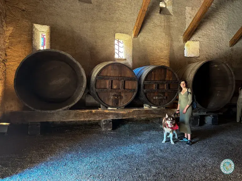 bodega-stein-am-rhein