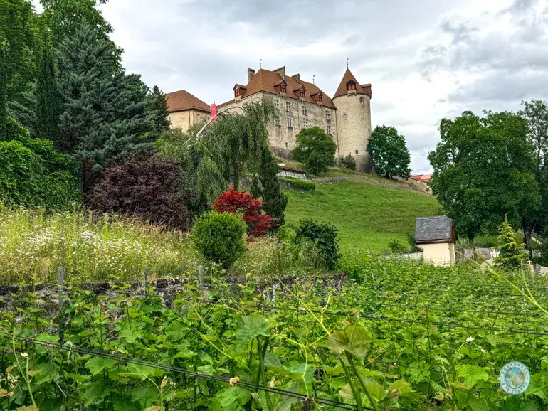 castillo-gruyeres