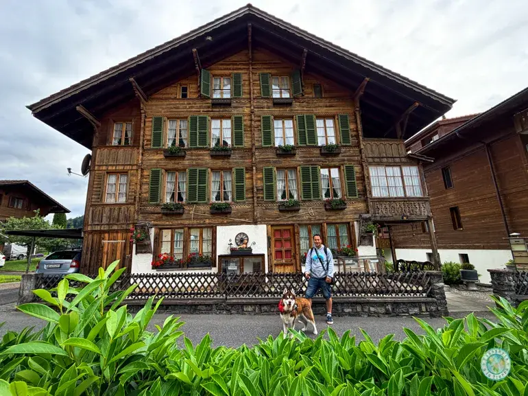 chalets-madera-suiza