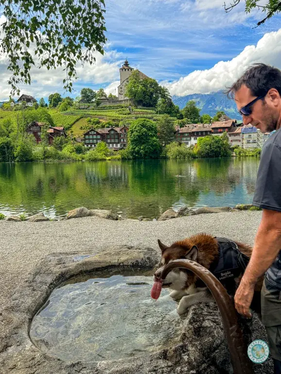 fuente-agua-werdenberg-suiza