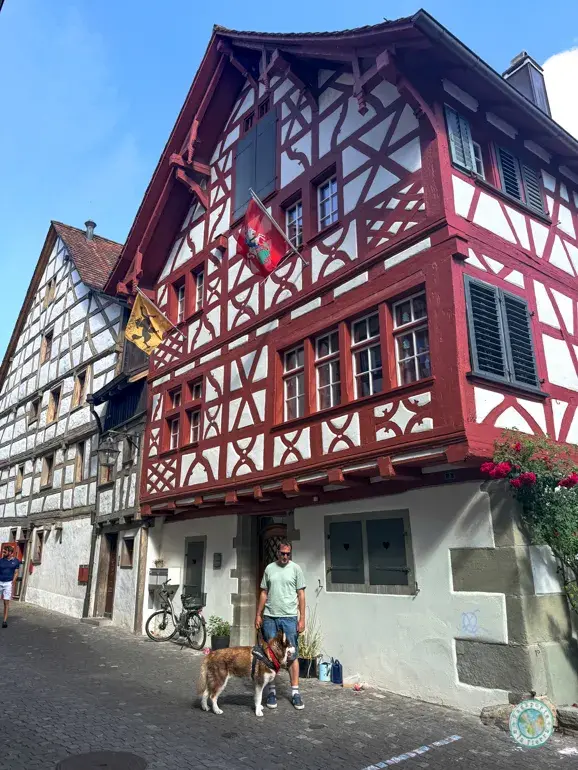 haus-vetter